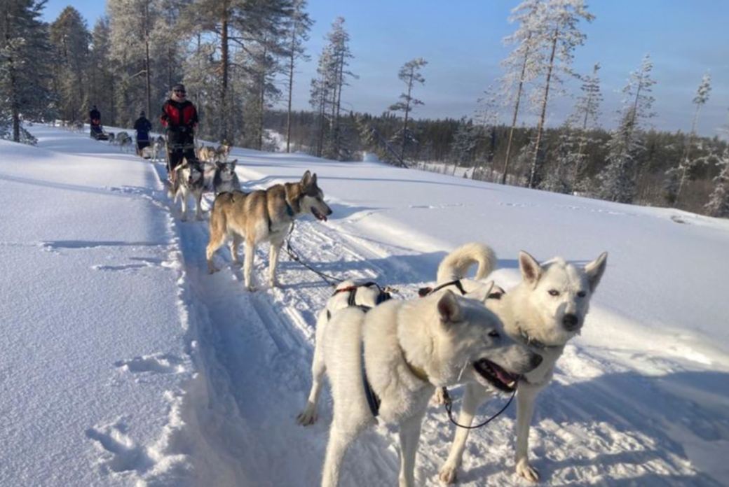Winter Traum in Finnisch Lappland